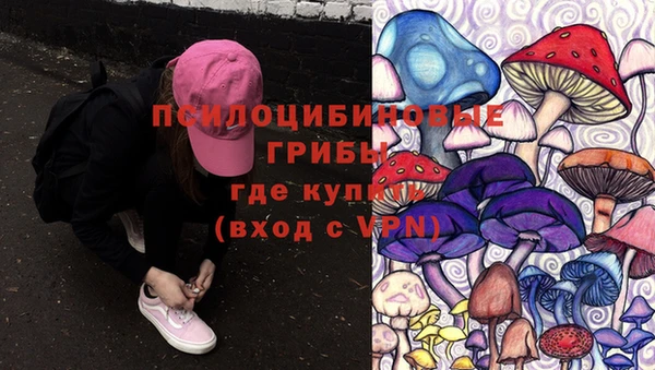 хмурый Белоозёрский